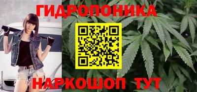 соль ск Лесосибирск