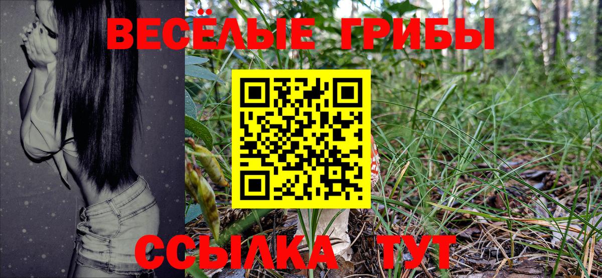 Узловая  Псилоцибиновые грибы Cubensis  Вход с VPN 